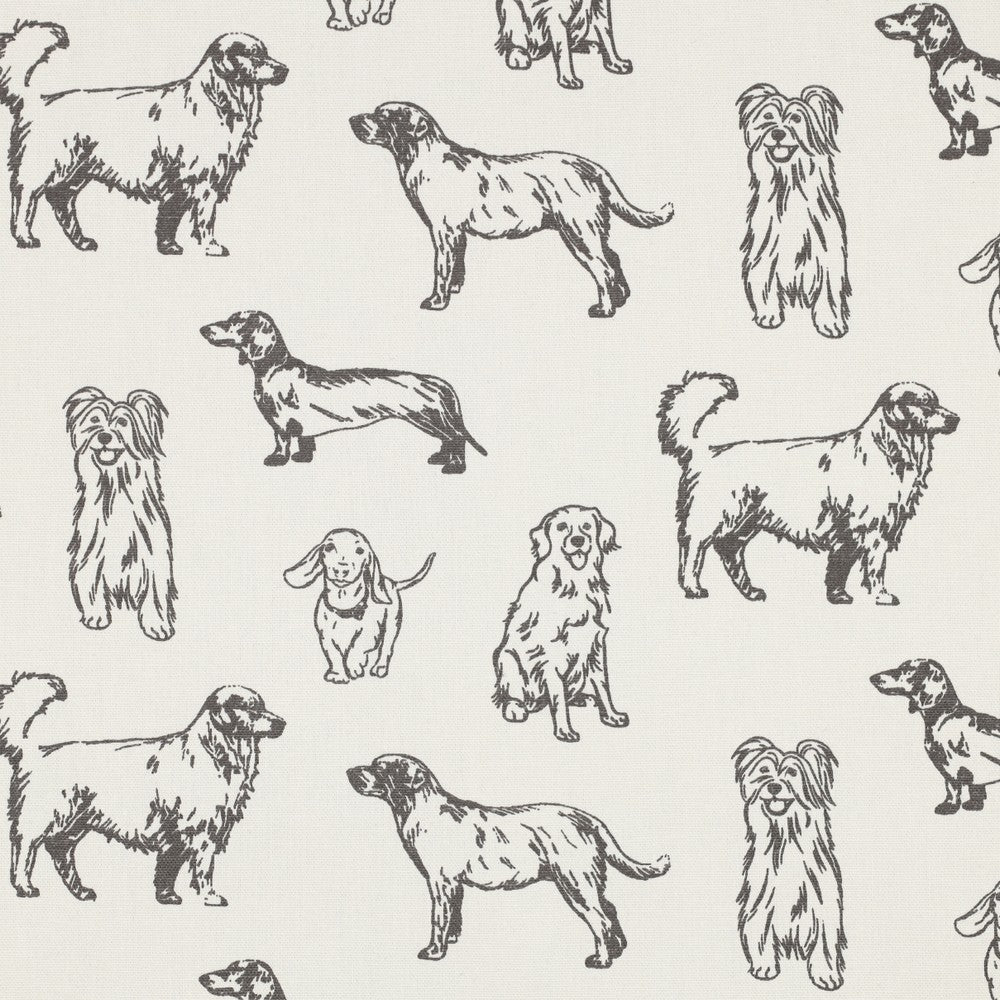 Dogs / Navy